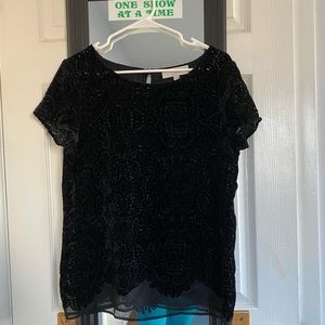 Ann Taylor LOFT - velvet blouse